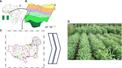 Exploring the potential of mapped soil properties, rhizobium inoculation, and phosphorus supplementation for predicting soybean yield in the savanna areas of Nigeria